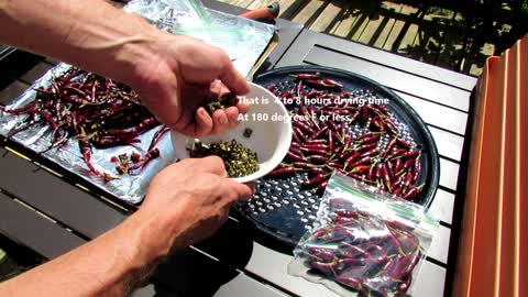 How to Oven Dry Your Garden Cayenne & Other Hot Peppers: Amazing Flavor!