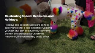 Brightening the Holidays: Introducing Pet Fur Coloring