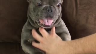 Stop The Tickles
