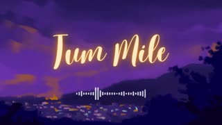 Tum Mile - New Best Lofi Songs