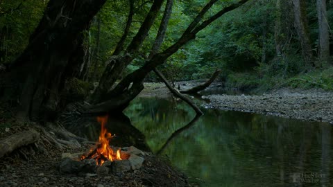 Campfire by the River - Relaxing Fireplace & Nature Sounds 4K