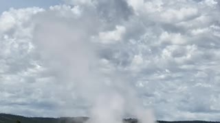 Buffalo Gets a Shower from Old Faithful