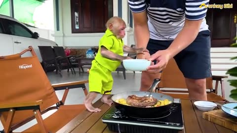 Assistant chef Bibi prepares food for Dad to cook!