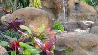 Backyard Oasis Waterfall Garden