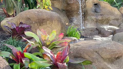 Backyard Oasis Waterfall Garden