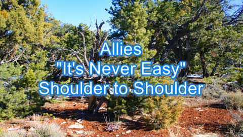 Allies - It's Never Easy #500