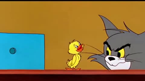 Tom & Jerry show