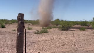 Life and Death of a Dust Devil