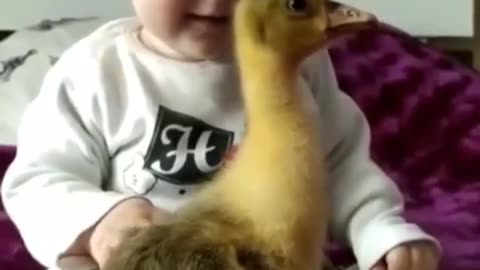 Baby and duckline
