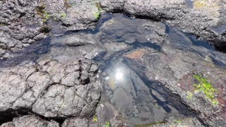 Check Out The Black Sand Beach On The Big Island Of Hawaii