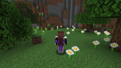 Minecraft 1.17.1_Shorts Modded 1st Outting_25