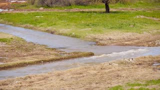 The New River Trail