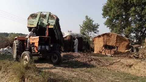 Tarali tractor 🚜 work