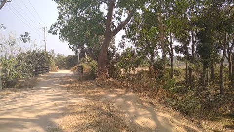 Natural Village video, Bangladesh.