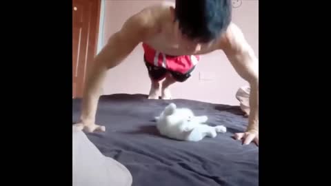 Kitten helping to do push-up