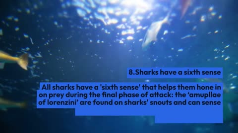TOP 10 SHOCKING/AMAZING FACTS ABOUT SHARKS..