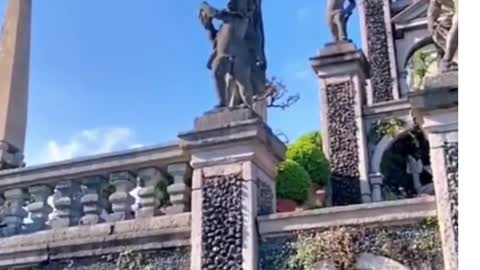 White peacock flying from tall building