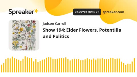 Show 194: Elder Flowers, Potentilla and Politics
