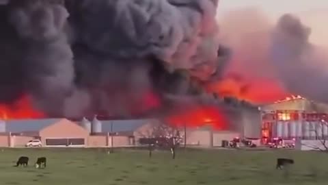 Here we go again!Chicken farm In Texas with 12 million chickens destroyed by fire!