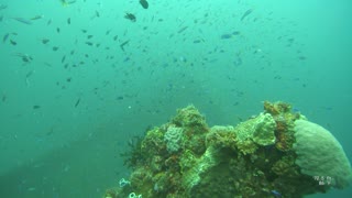 Truk Lagoon SCUBA Heian Maru Nov 2019