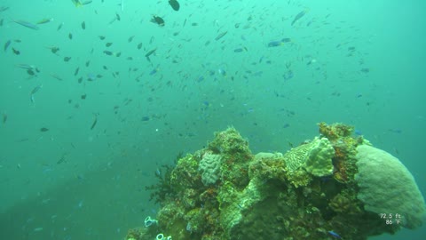 Truk Lagoon SCUBA Heian Maru Nov 2019