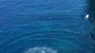 Southern Most Point Cliff Dive