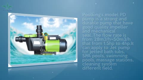 PD series Durable Pool Pump