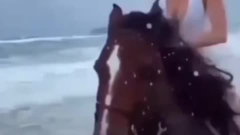 Horse lover