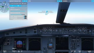 Flight Simulator 2020 How to Avoid Crash at X4 or 8 speed.