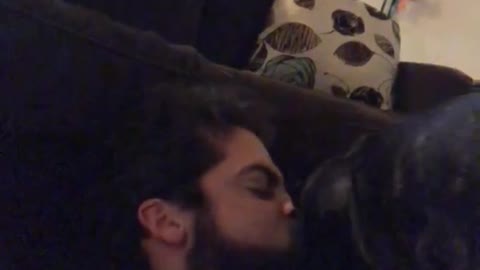 Black pug stands on bearded owner's chest