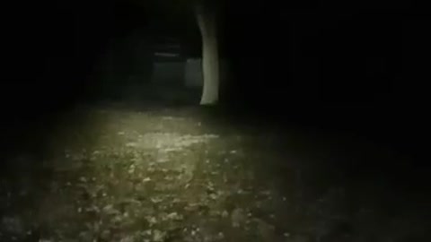 i got the ghost on video ,we found some paranormal