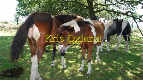 Kris Oxland Music. NHS Song Isolated Motivated. Covid song. from the Album 2022.