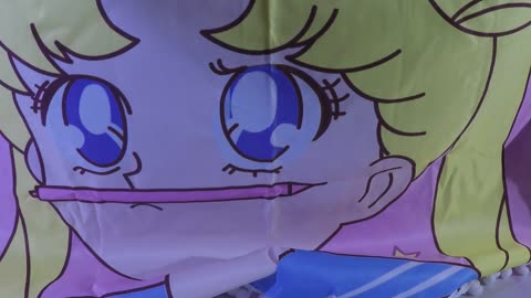 Aliexpress Sailor moon cloth print