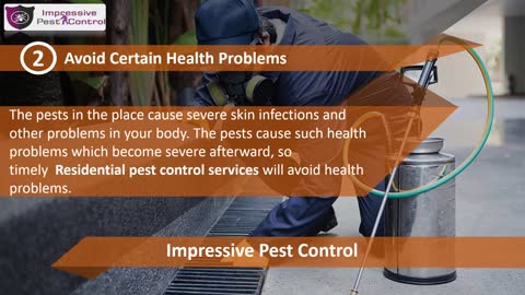Best Pest Control Melbourne