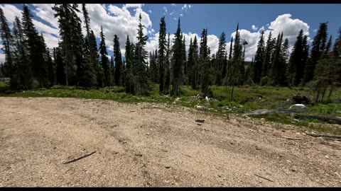 Yard Creek FSR (Malakwa B.C.) upper plateau