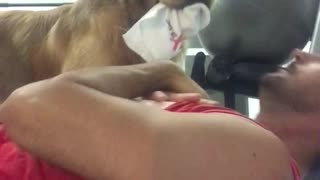 Personal Trainer Pup