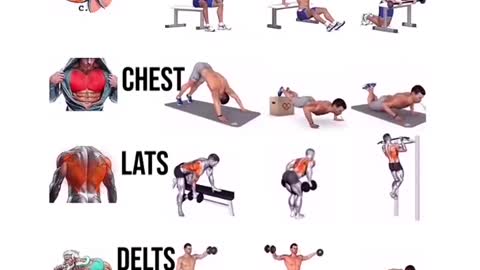 Full Body Workout Home And Gym