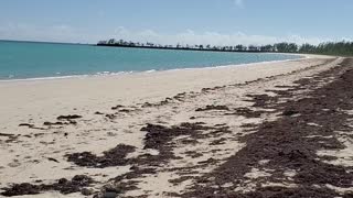 #9 TV-South Andros - "Empty Beach Tons of Opportunity"