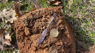 Coins & Relics With Minelab Metal Detecting