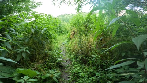 🍁 Ottawa River Pathway Recreational Trails 🌴