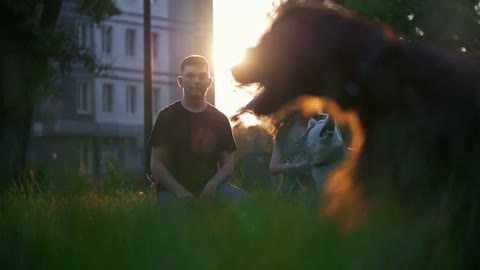 Young happy couple playing with their dogs at summer sunset