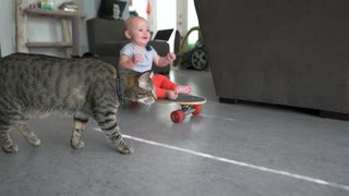 Beba y gato disfrutan un precioso paseo en skate juntos