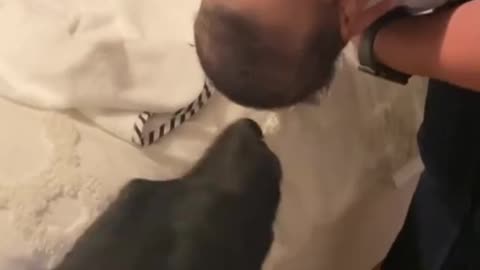 Dad shows his hilarious secret to a perfect comb-over