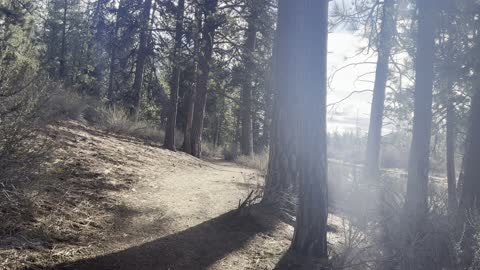 Hiking Along the Wild Deschutes River Trail – Central Oregon – 4K