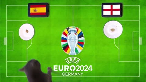 EURO 2024 FINAL PREDICTION - SPAIN vs ENGLAND CASS THE CAT
