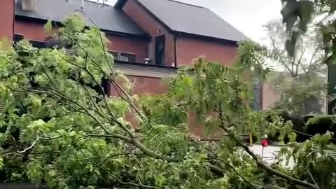 Prospect and Carolina major damage from the possible tornado in Buffalo, NY
