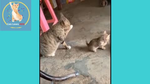 Cute CAT's with funny Babies 2022 | Cute Pets