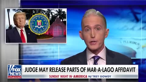 Trey Gowdy: Mar-a-Lago raid eroded trust in the DOJ, FBI