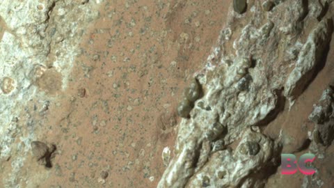 Perseverance rover finds evidence that suggests ancient microbial life might have existed on Mars