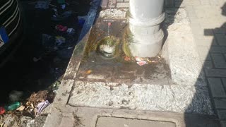 Drinking water fountain in Roma